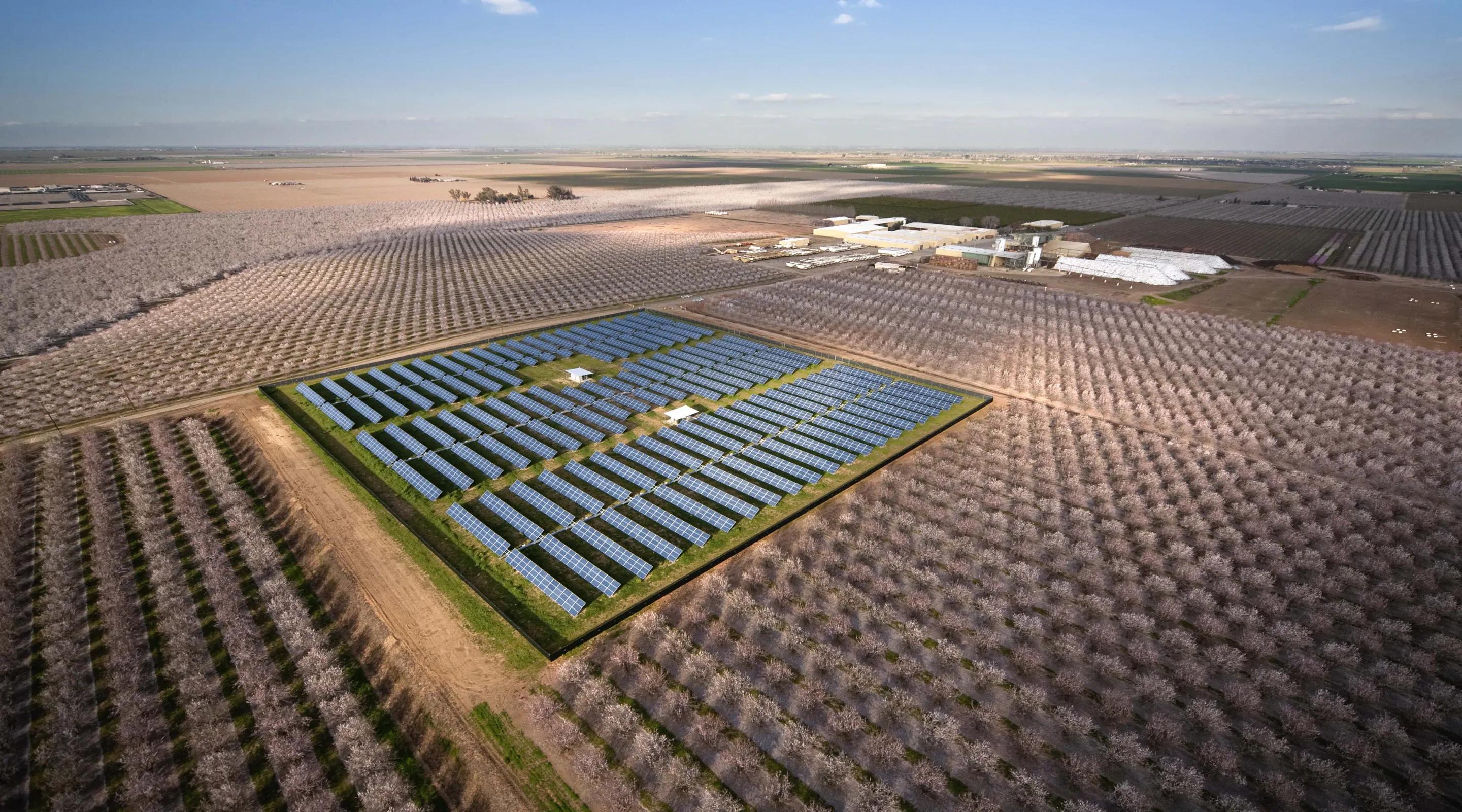 Image of solar panels in the middle of a farm.