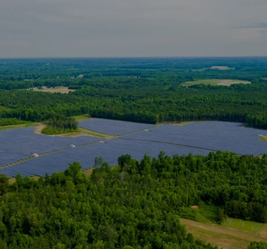 Image of a solar panel field in the middle of a forest.