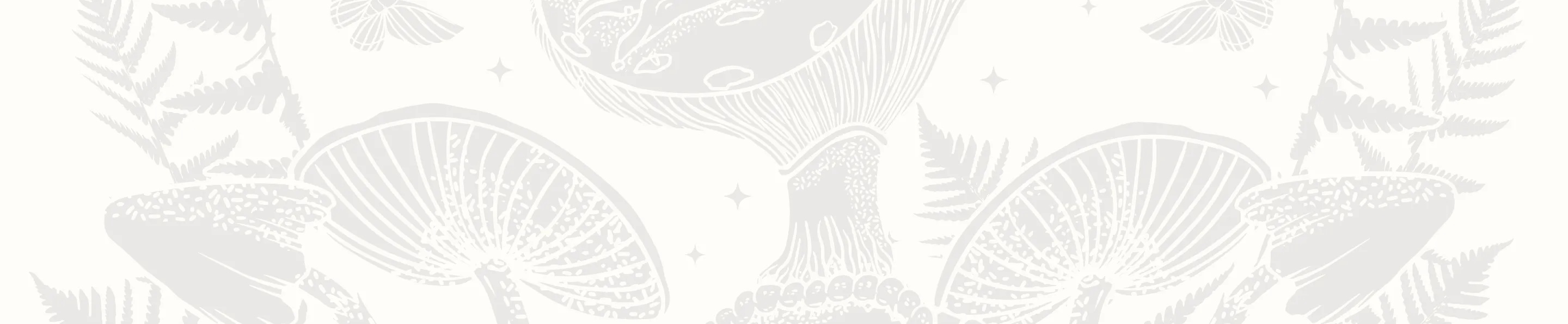 Light-toned cropped illustration of mushrooms and ferns.