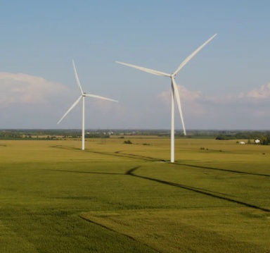 Expansive green field under a clear blue sky with two wind turbines scattered across the landscape.