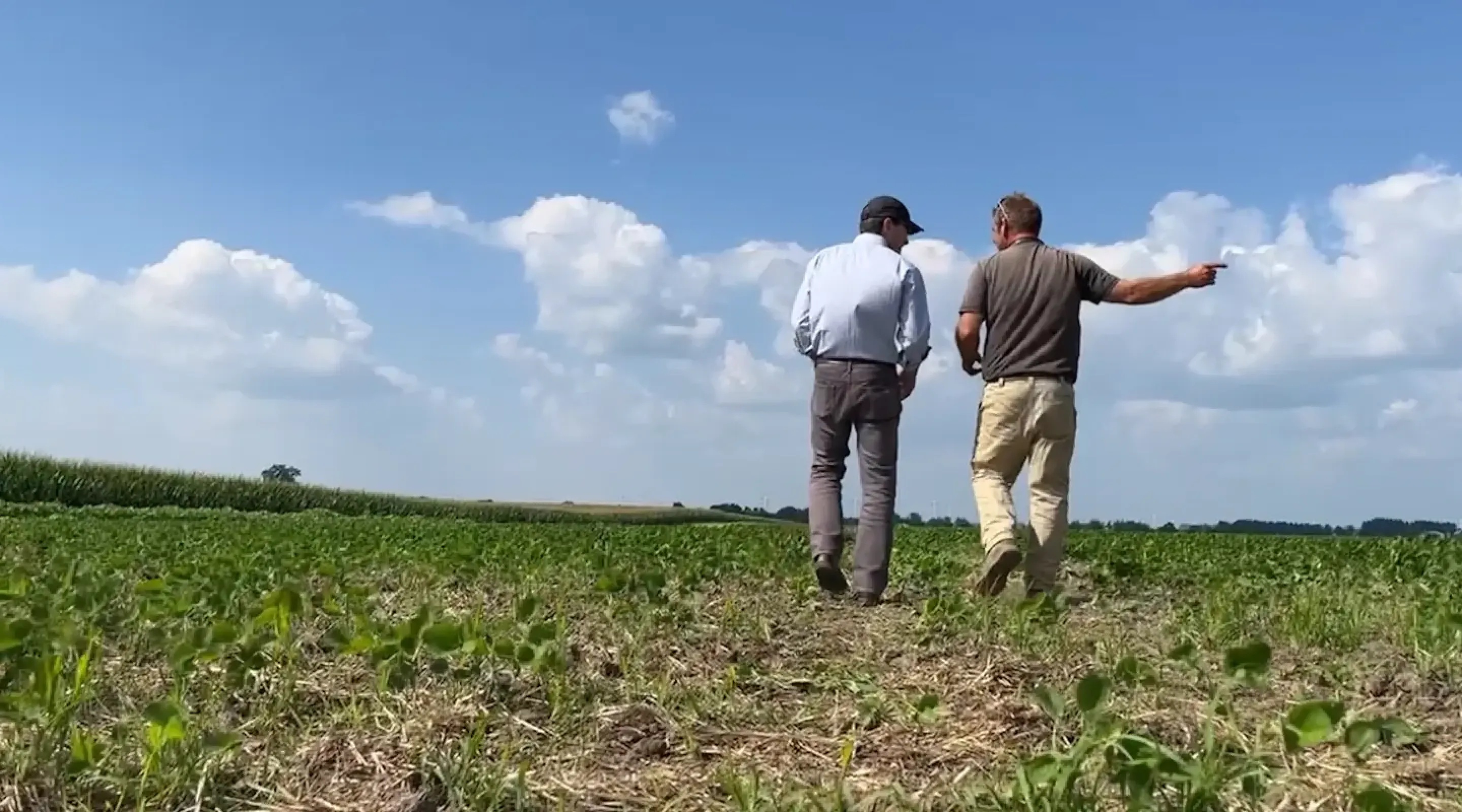 Two men walking through a crop field under a clear blue sky, facing away from the camera as they engage in conversation.