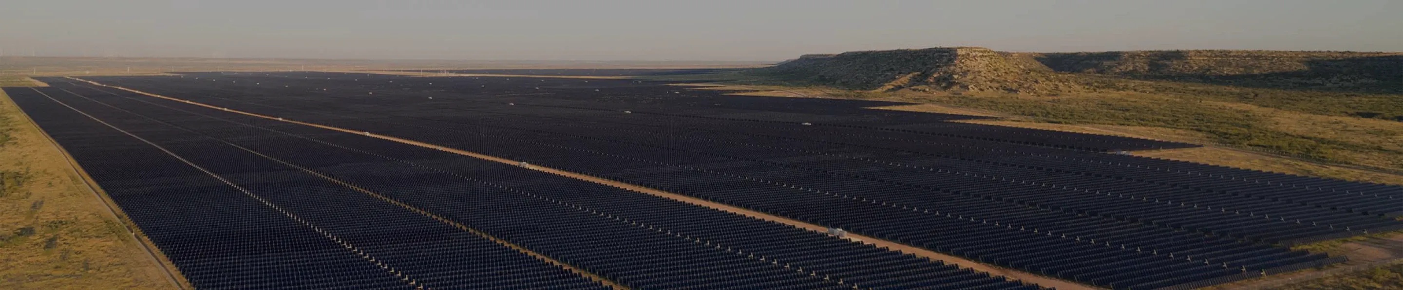 Close up of a solar panel field around grass.