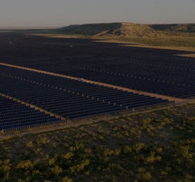 Close up of a solar panel field around grass.