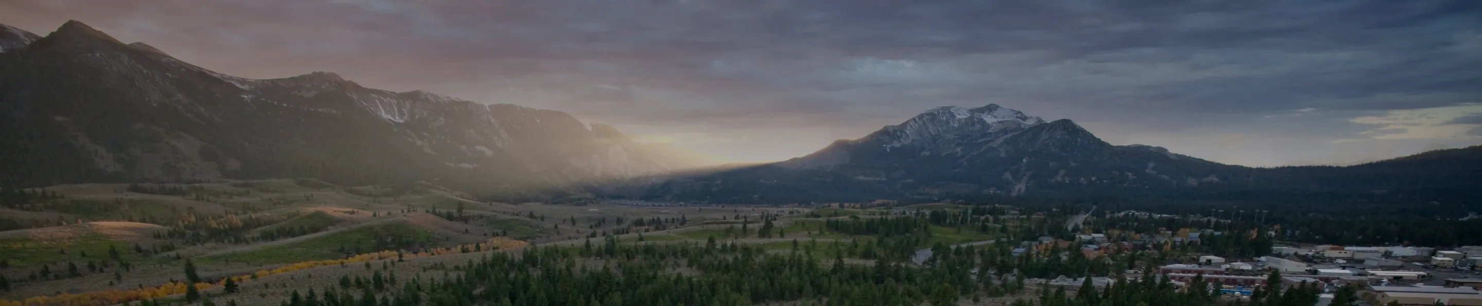 Image of trees and mountains.