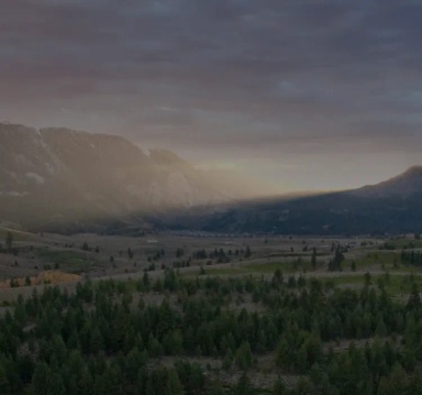 Image of trees and mountains.